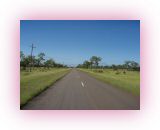 OST-I- (4)1.jpg